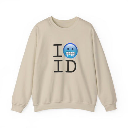 "I'm Cold in Idaho" Sweatshirt