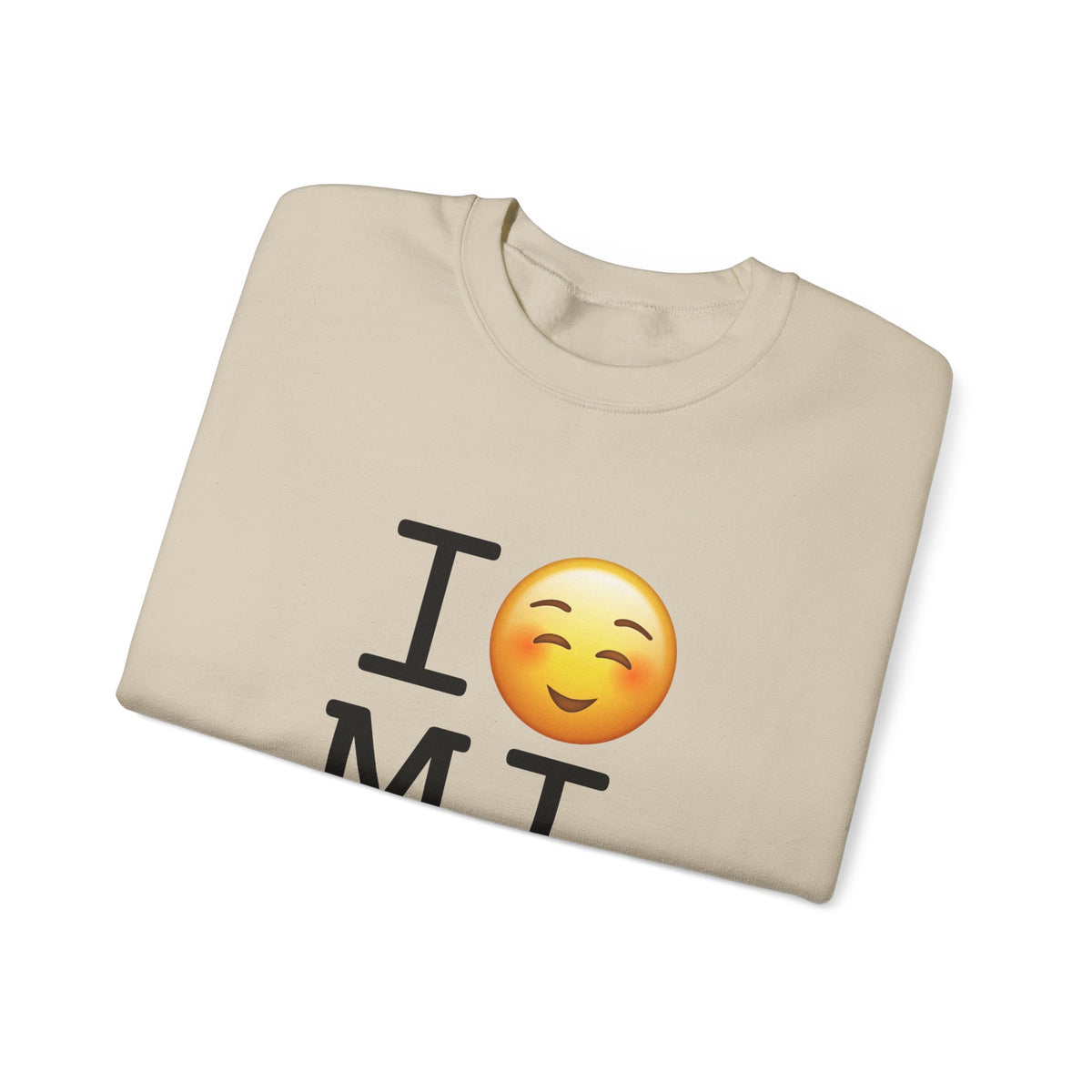 "I Blush at Michigan" Sweatshirt