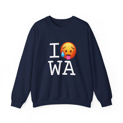 "I'm Hot in Washington" Sweatshirt
