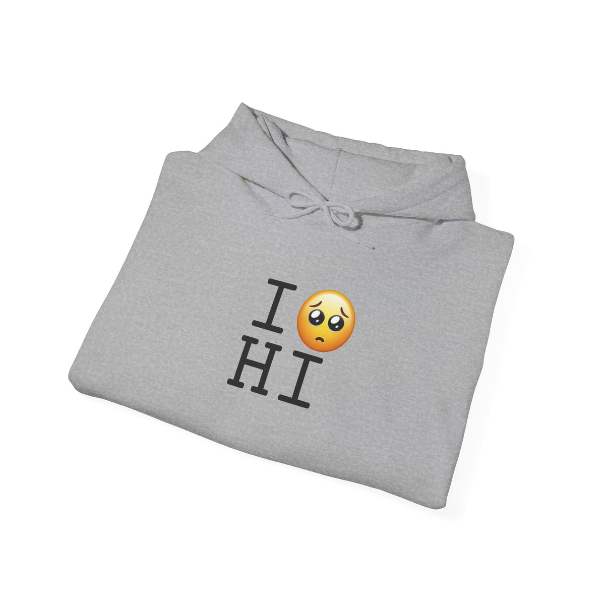 "I'm Begging about Hawaii" Hoodie