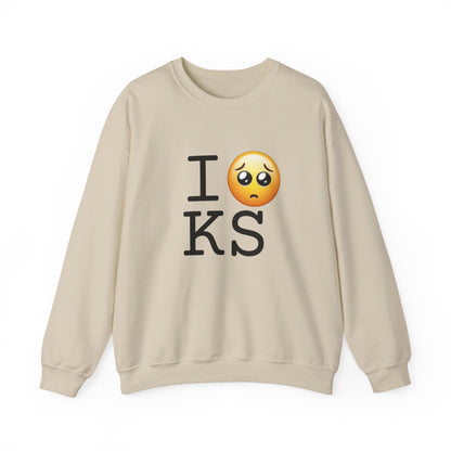"I'm Begging about Kansas" Sweatshirt