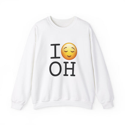 "I'm Relieved about Ohio" Sweatshirt