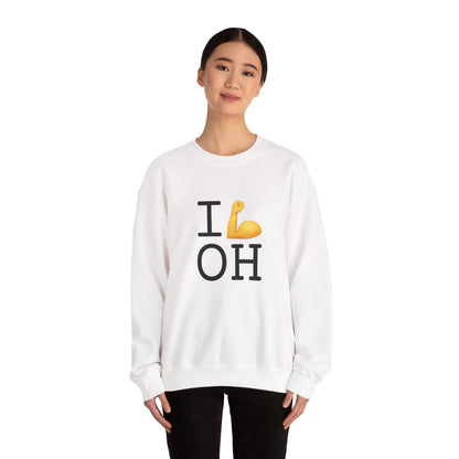 "I Flex in/on Ohio" Sweatshirt