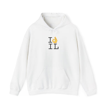 "I'm OK with Illinois" Hoodie
