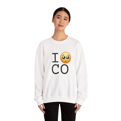 "I'm Begging about Colorado" Sweatshirt