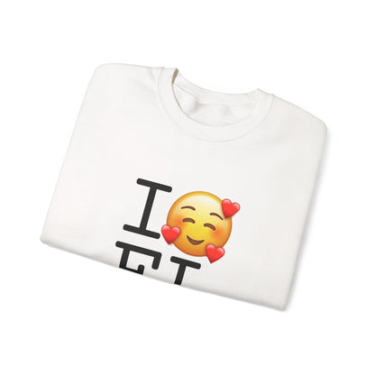 "I Adore Florida" Sweatshirt
