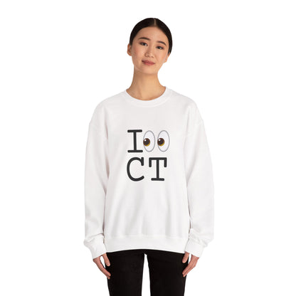 "I Look at Connecticut" Sweatshirt
