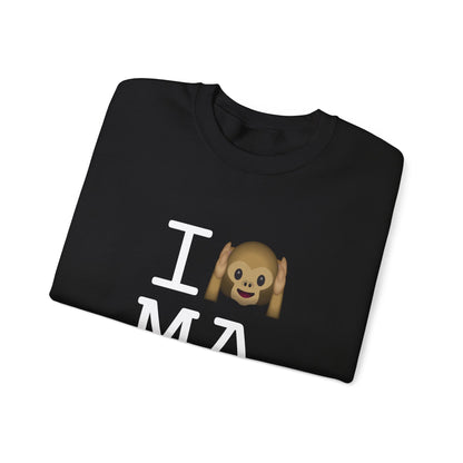 "I Don't Hear Massachusetts" Sweatshirt