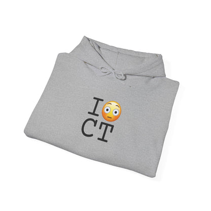"I'm Embarrassed by Connecticut" Hoodie