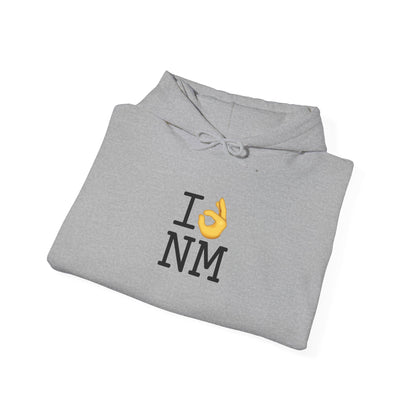 "I'm OK with New Mexico" Hoodie