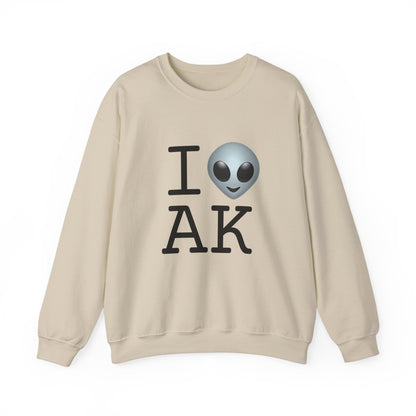 "I Feel Alien in Alaska" Sweatshirt