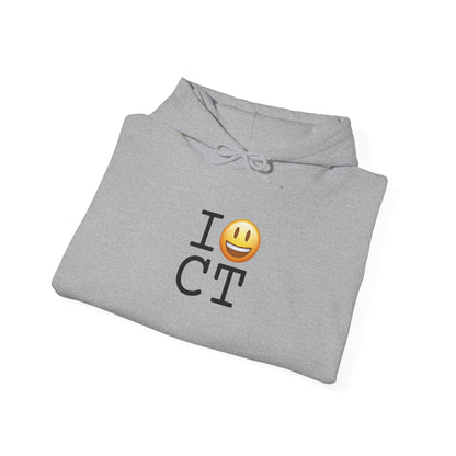 "I'm Happy about Connecticut" Hoodie