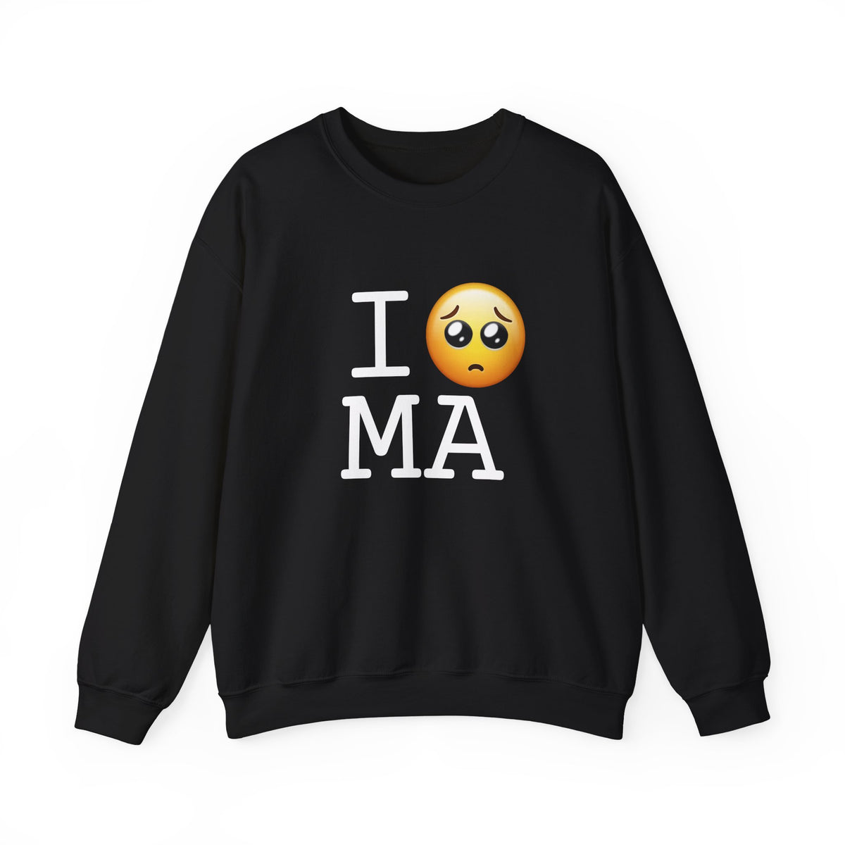 "I'm Begging about Massachusetts" Sweatshirt