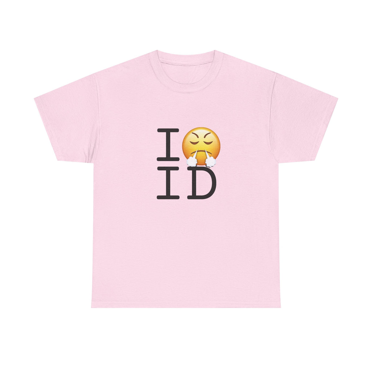 "I'm Furious about Idaho" Tee