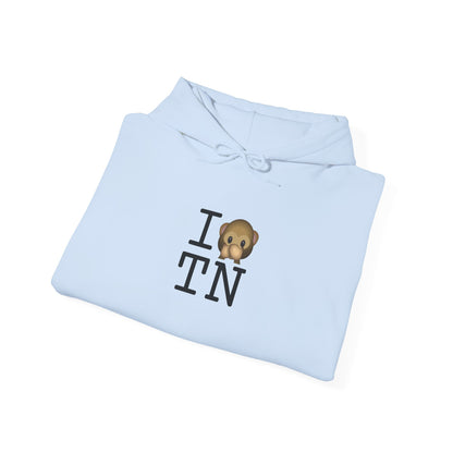 "I Don't Speak about Tennessee" Hoodie