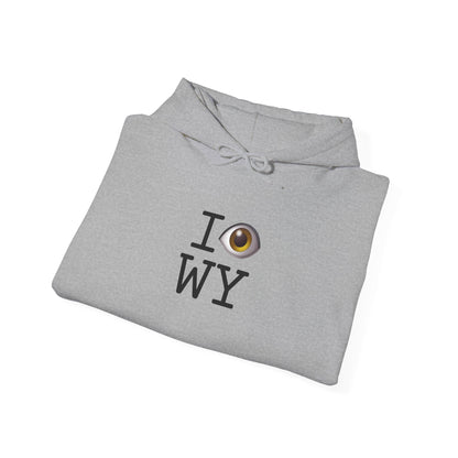 "I See (Eye) Wyoming" Hoodie