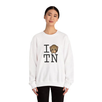 "I Don't Speak about Tennessee" Sweatshirt
