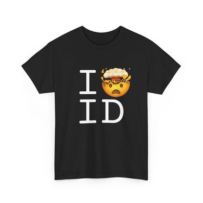 "I'm Mind Blown by Idaho" Tee