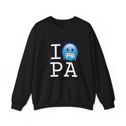 "I'm Cold in Pennsylvania" Sweatshirt