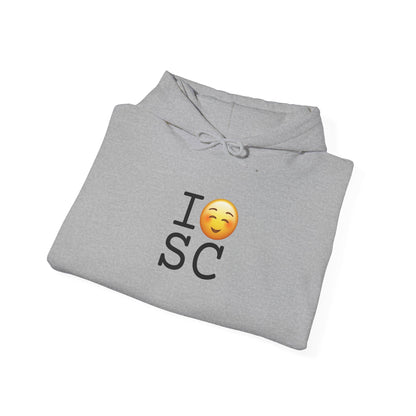 "I Blush at South Carolina" Hoodie