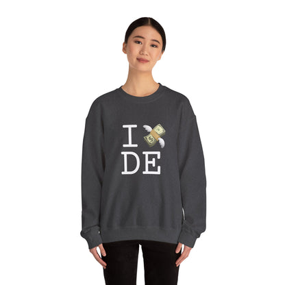 "I Lose Money in Delaware" Sweatshirt