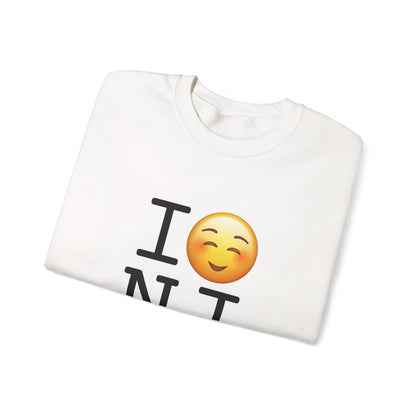 "I Blush at New Jersey" Sweatshirt