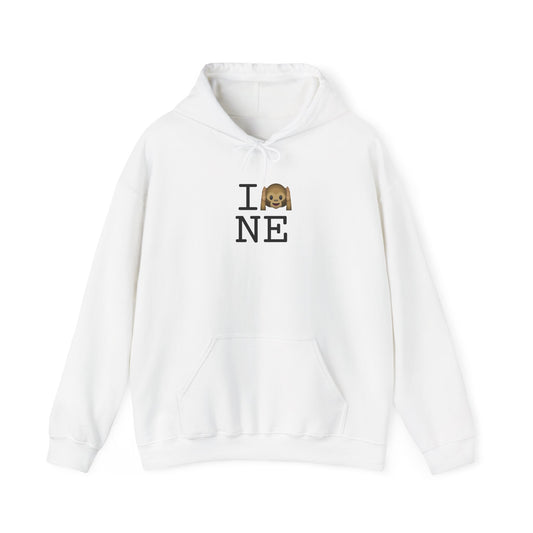 "I Don't Hear Nebraska" Hoodie