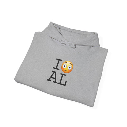 "I'm Embarrassed by Alabama" Hoodie