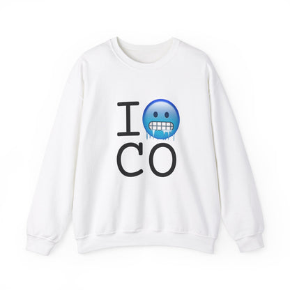 "I'm Cold in Colorado" Sweatshirt