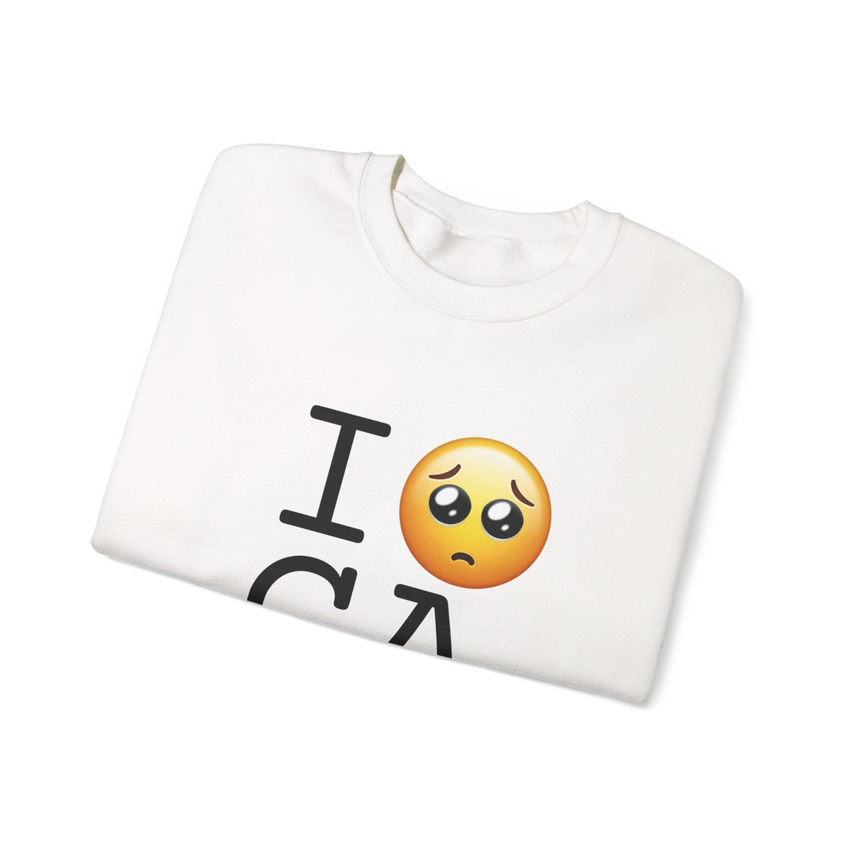 "I'm Begging about Georgia" Sweatshirt