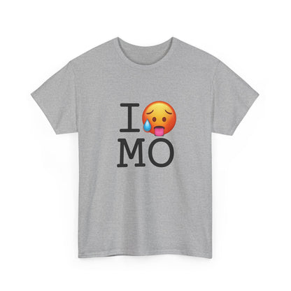 "I'm Hot in Missouri" Tee