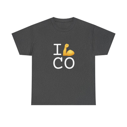 "I Flex in/on Colorado" Tee