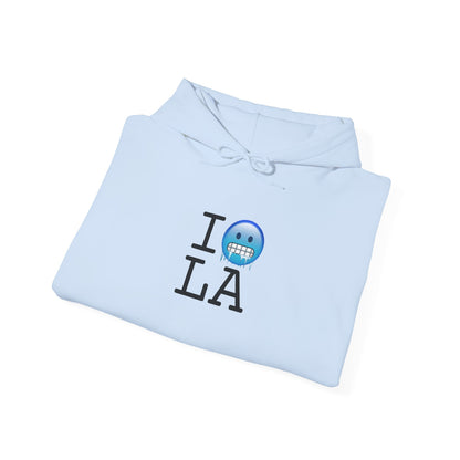 "I'm Cold in Louisiana" Hoodie