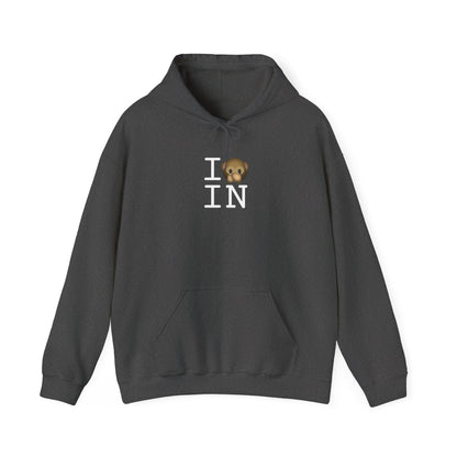 "I Don't Speak about Indiana" Hoodie