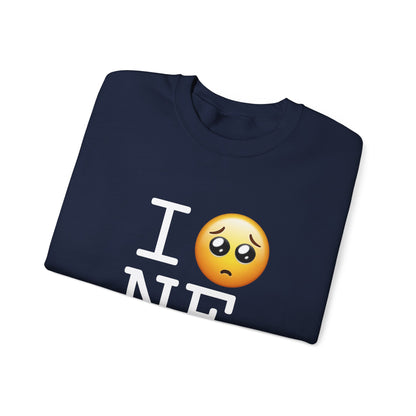"I'm Begging about Nebraska" Sweatshirt