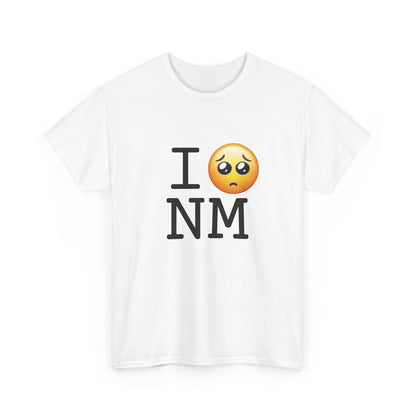 "I'm Begging about New Mexico" Tee