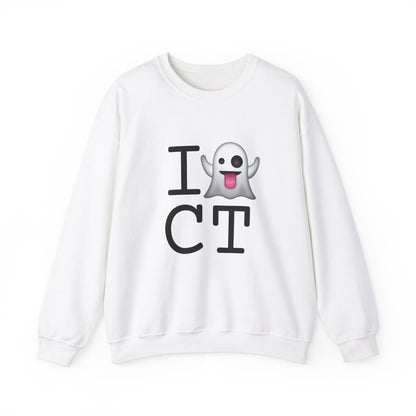 "I'm Ghosting Connecticut" Sweatshirt