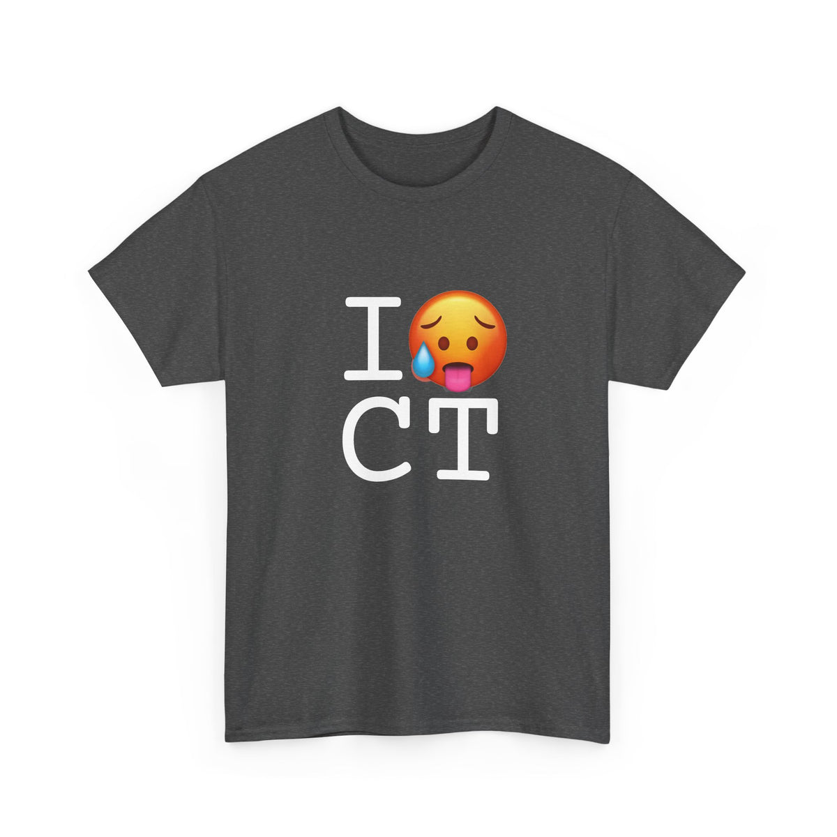 "I'm Hot in Connecticut" Tee