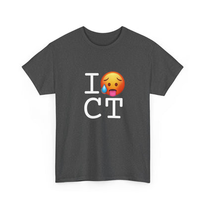 "I'm Hot in Connecticut" Tee