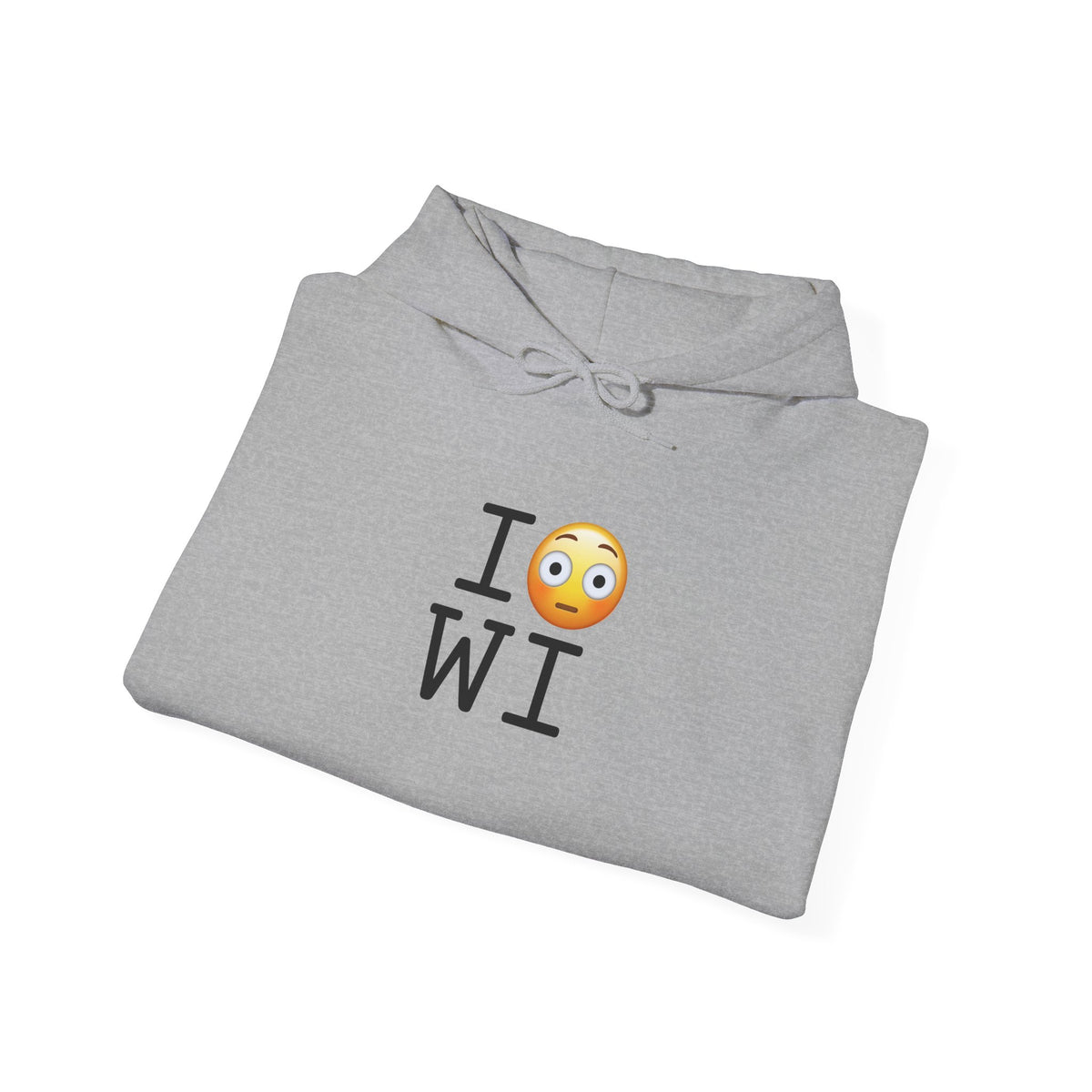 "I'm Embarrassed by Wisconsin" Hoodie