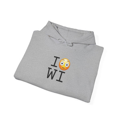 "I'm Embarrassed by Wisconsin" Hoodie