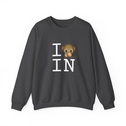 "I Don't Speak about Indiana" Sweatshirt