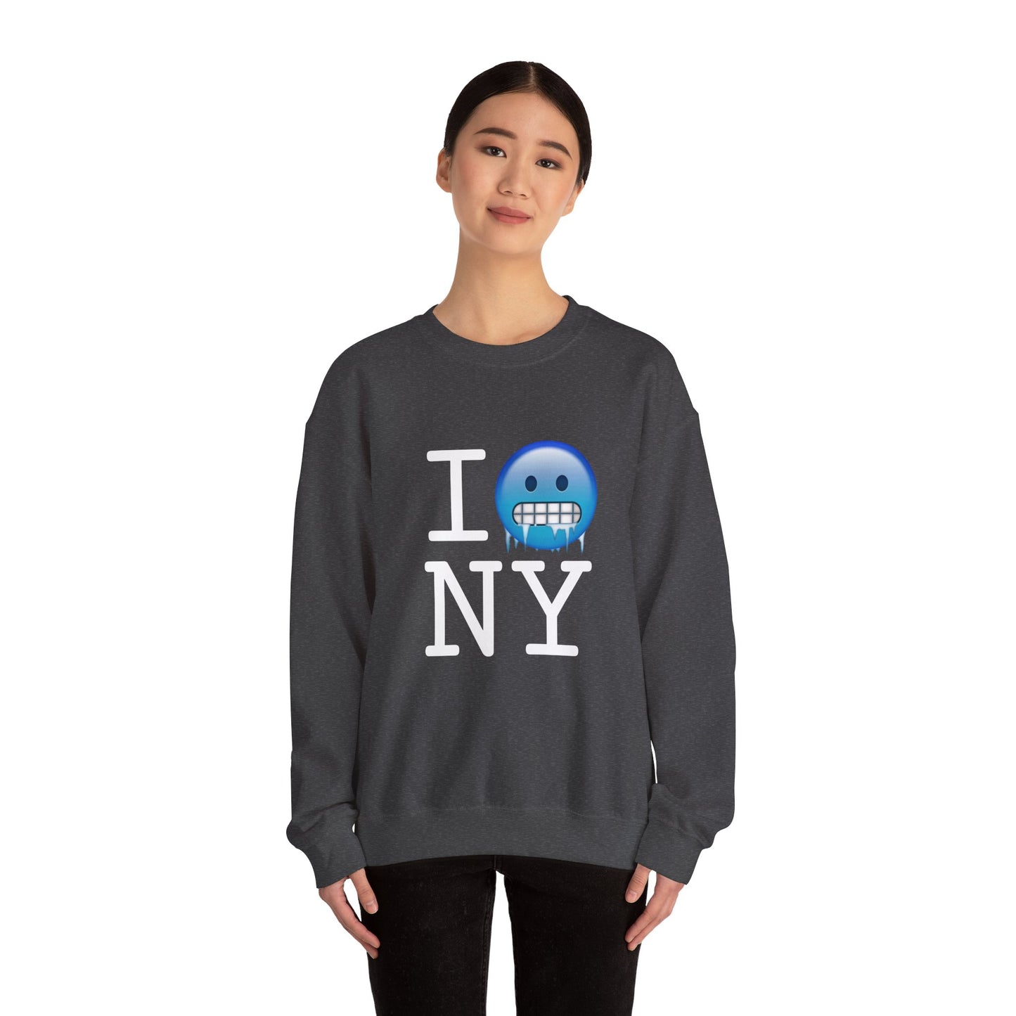 "I'm Cold in New York" Sweatshirt