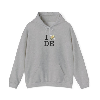 "I Lose Money in Delaware" Hoodie