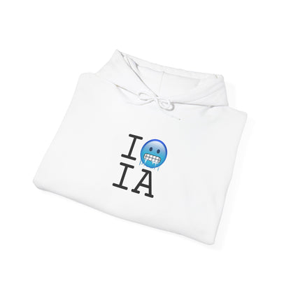 "I'm Cold in Iowa" Hoodie