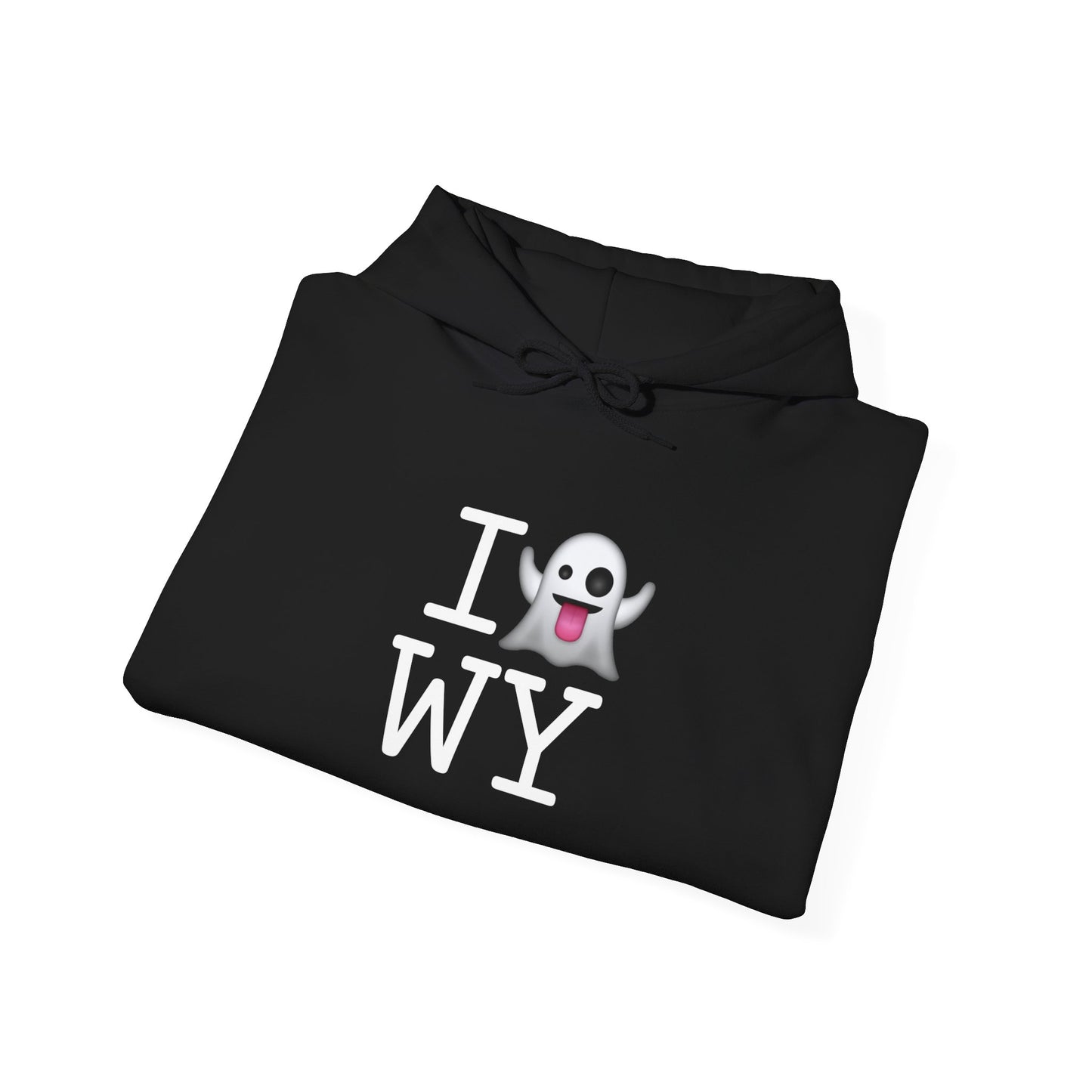 "I'm Ghosting Wyoming" Hoodie