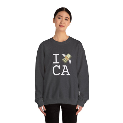 "I Lose Money in California" Sweatshirt