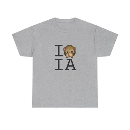 "I Don't Speak about Iowa" Tee