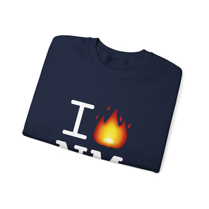 "I've got Fire for New Mexico" Sweatshirt