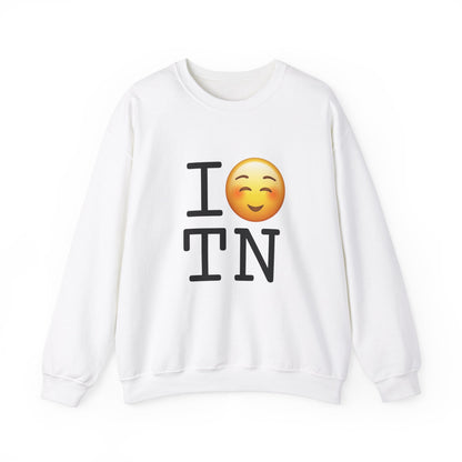 "I Blush at Tennessee" Sweatshirt